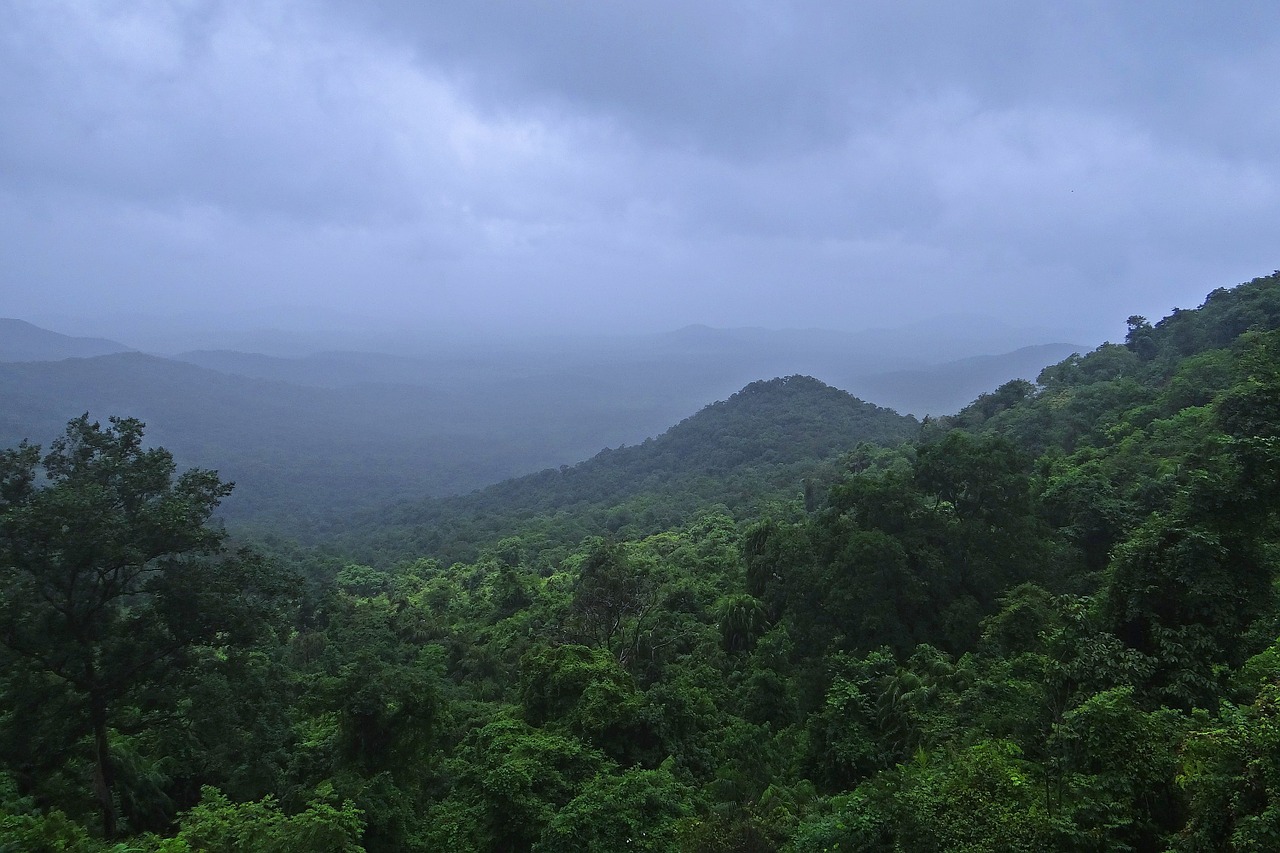 Western ghats biodiversity hotspot