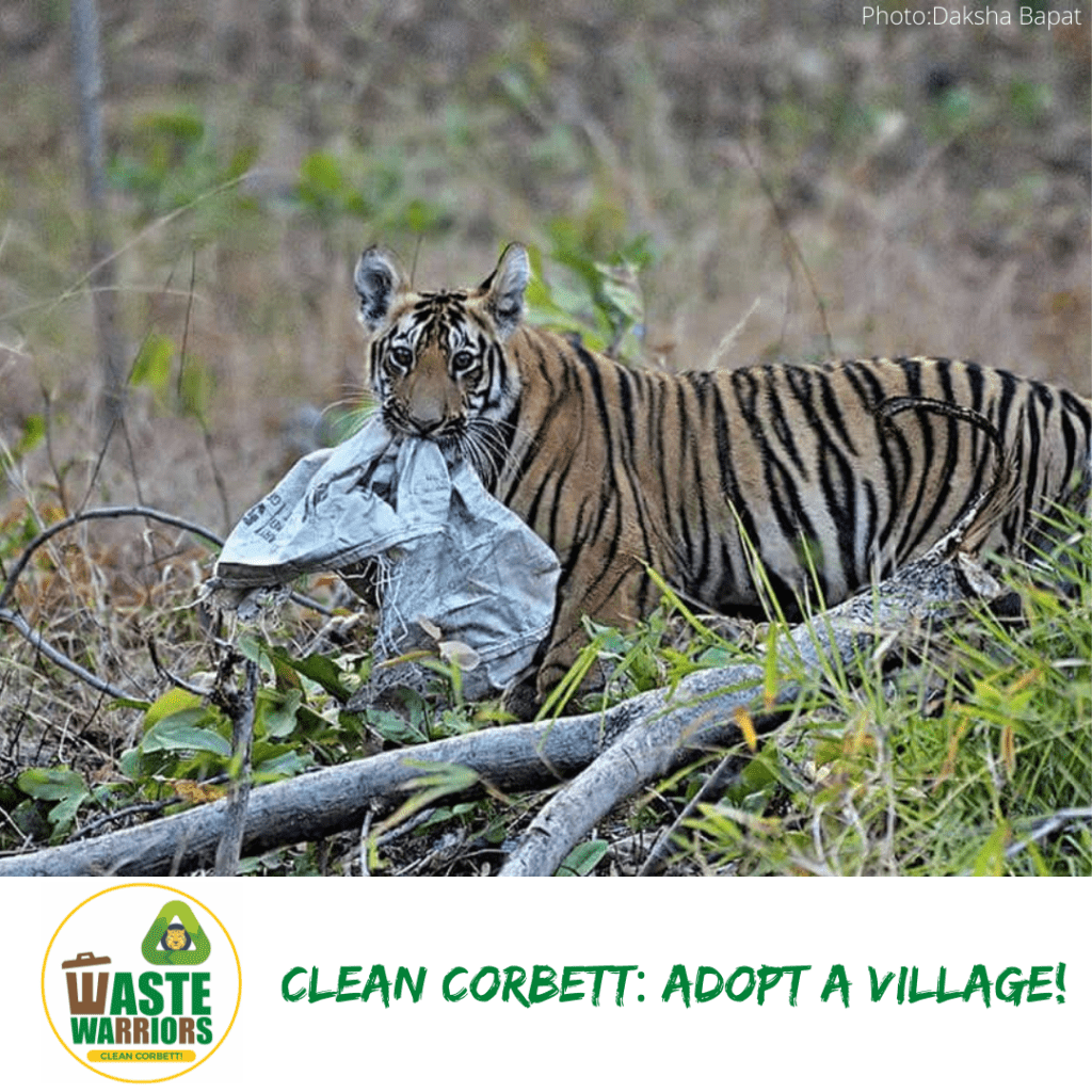 Clean Corbett Initiative