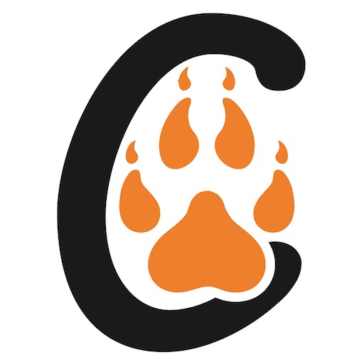Big Cats India Favicon
