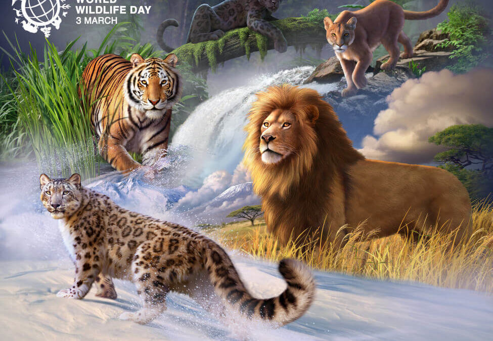 World Wildlife Day 2018 – Big Cats India