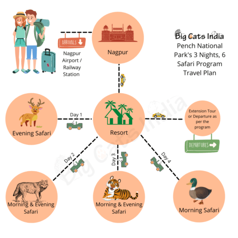 safari charges in pench