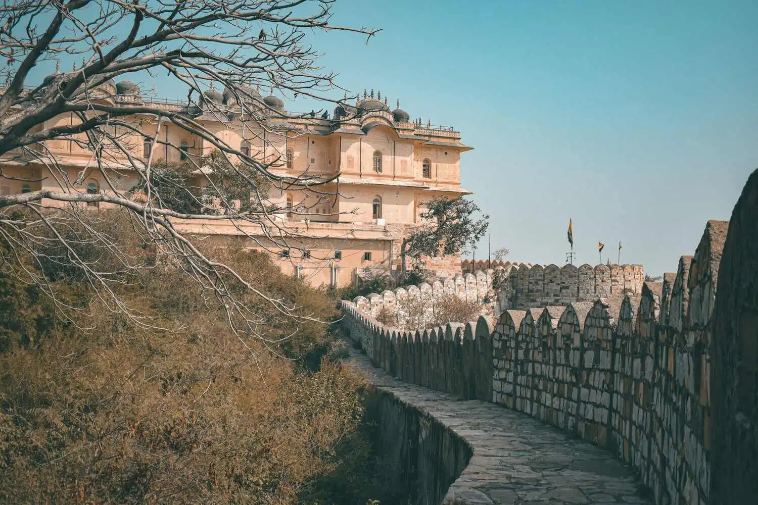 Amer Fort Jaipur