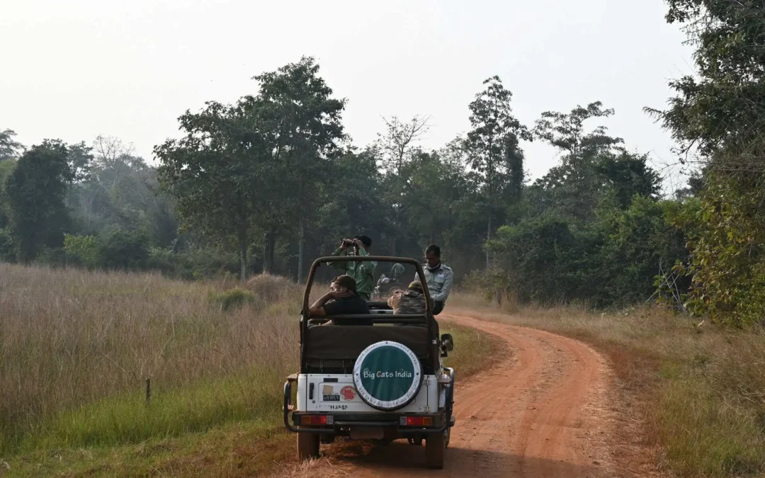 Walking Safari vs. Jeep Safari: Which One is Right for You?