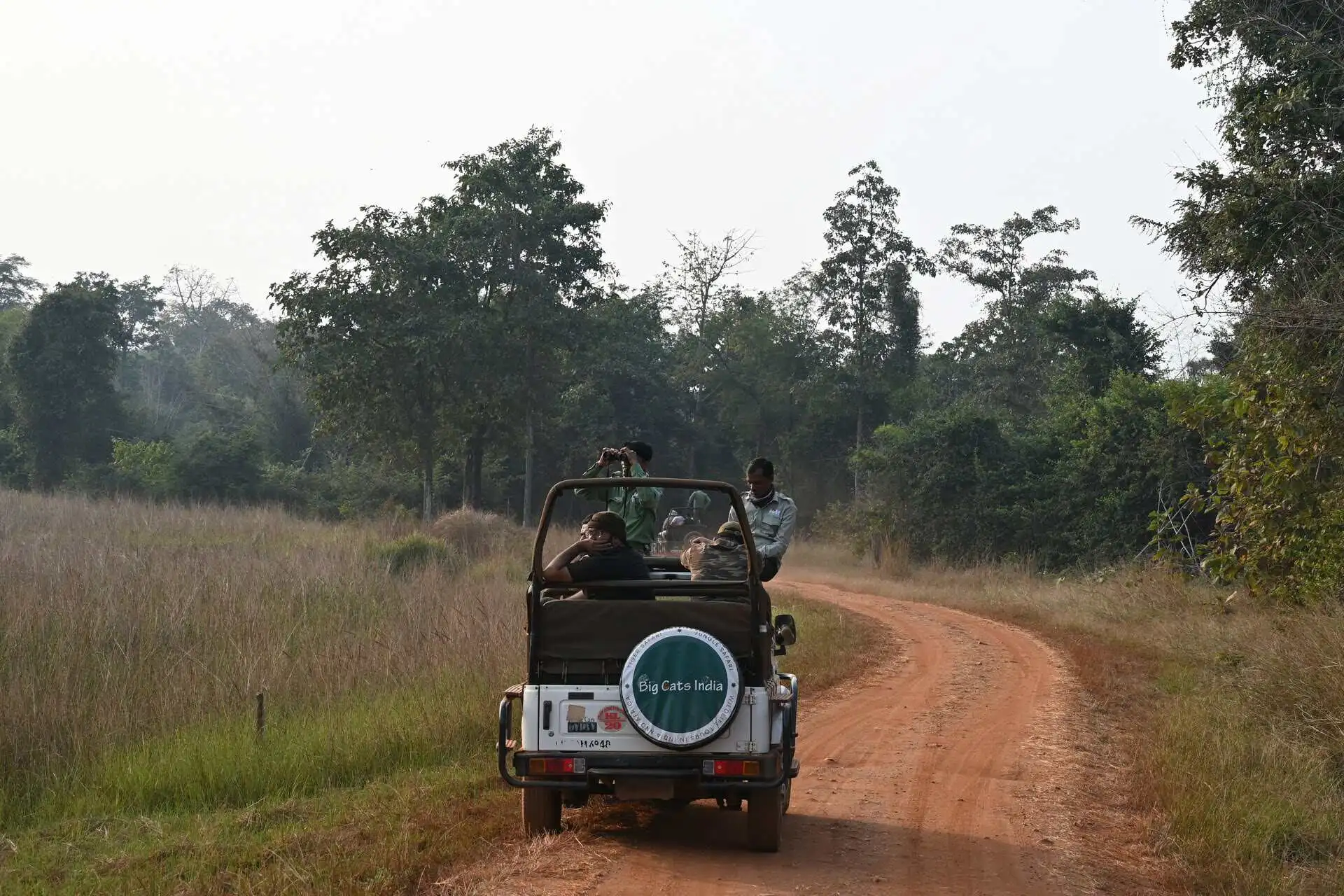 walking-vs-jeep-safari