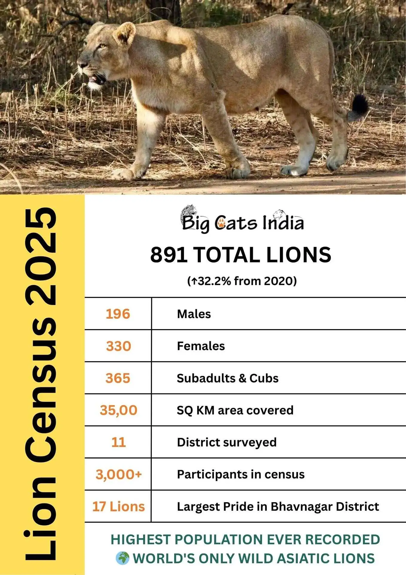 Lion Census 2025 Infograph
