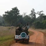 private-vs-group-safari