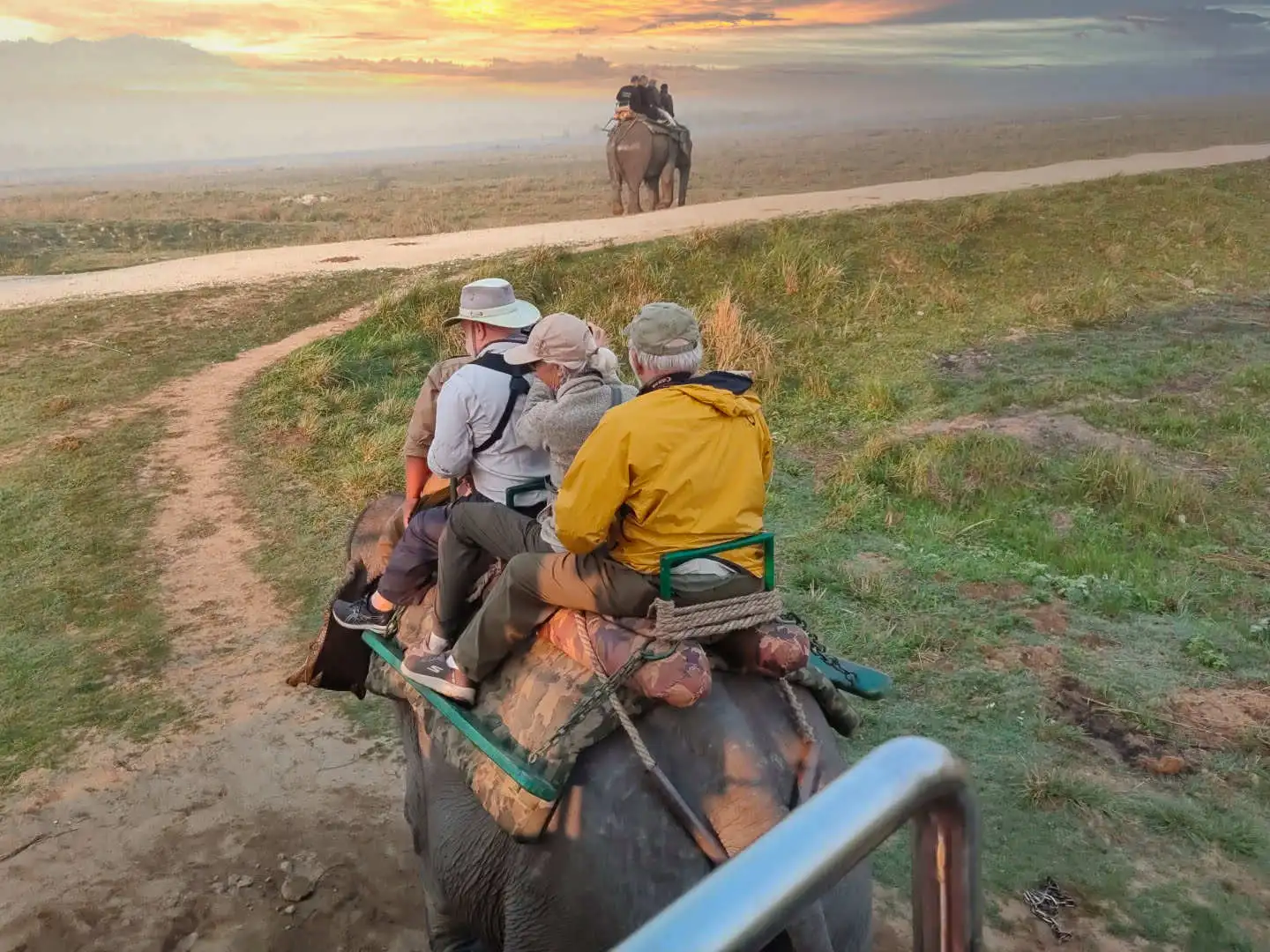 elephant-safari-in-india