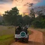 Jeep Safari India