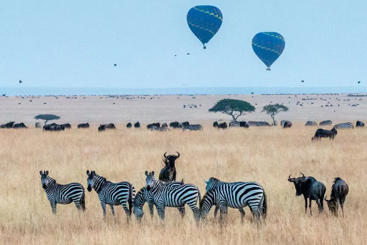 Big Five of Kenya Safari