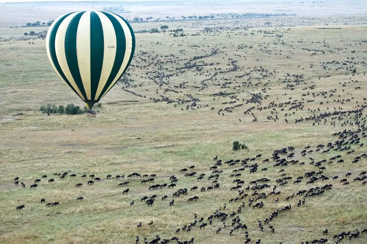 Masai Mara Short Trip