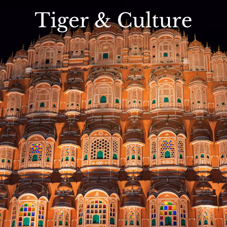tiger-and-culture-tour