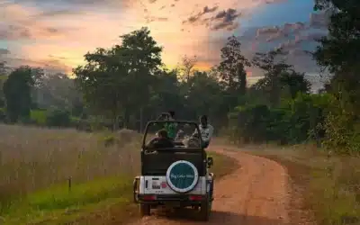 Walking Safari vs. Jeep Safari: Which One is Right for You?