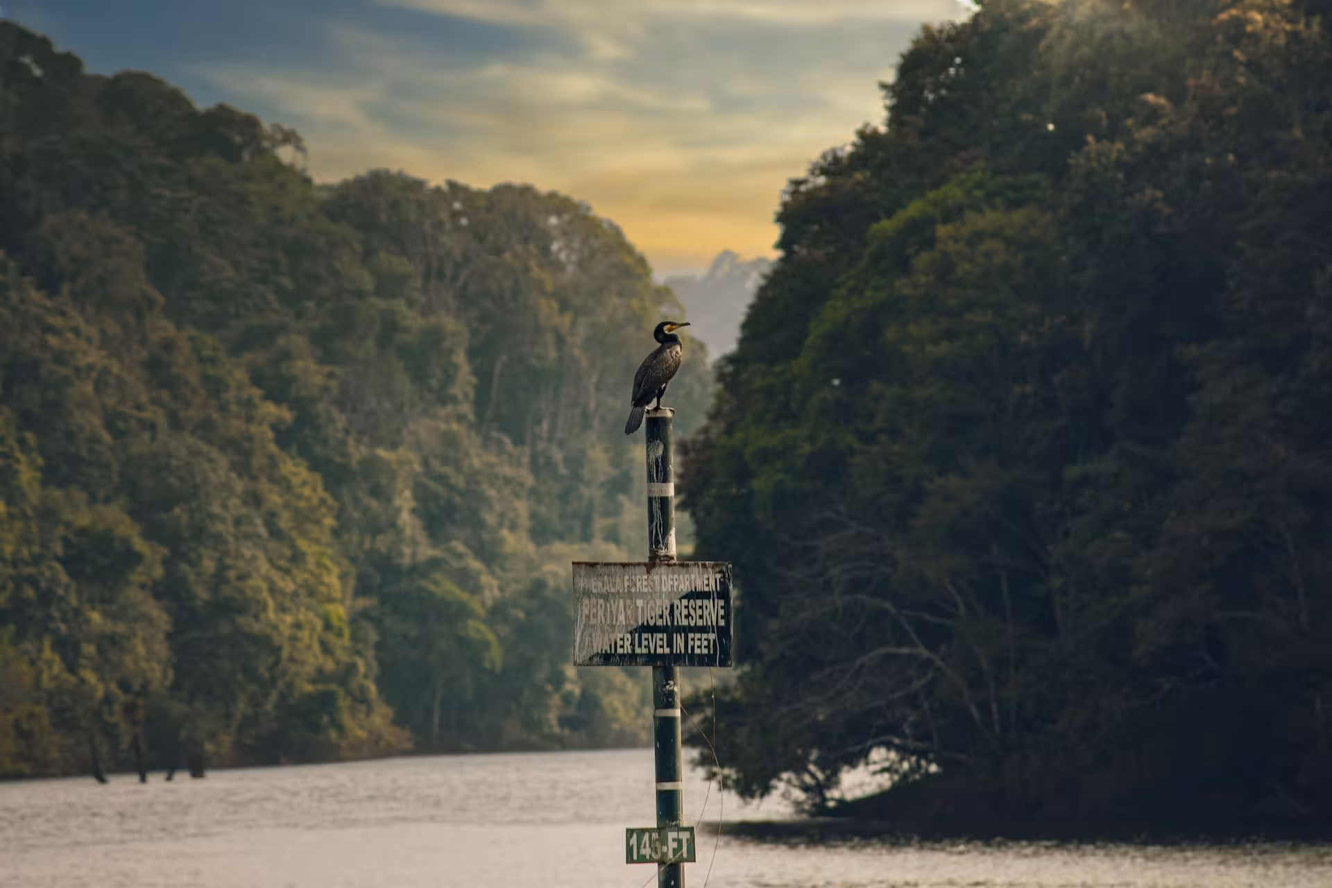 Bird on Periyar Tiger Reserve Sign