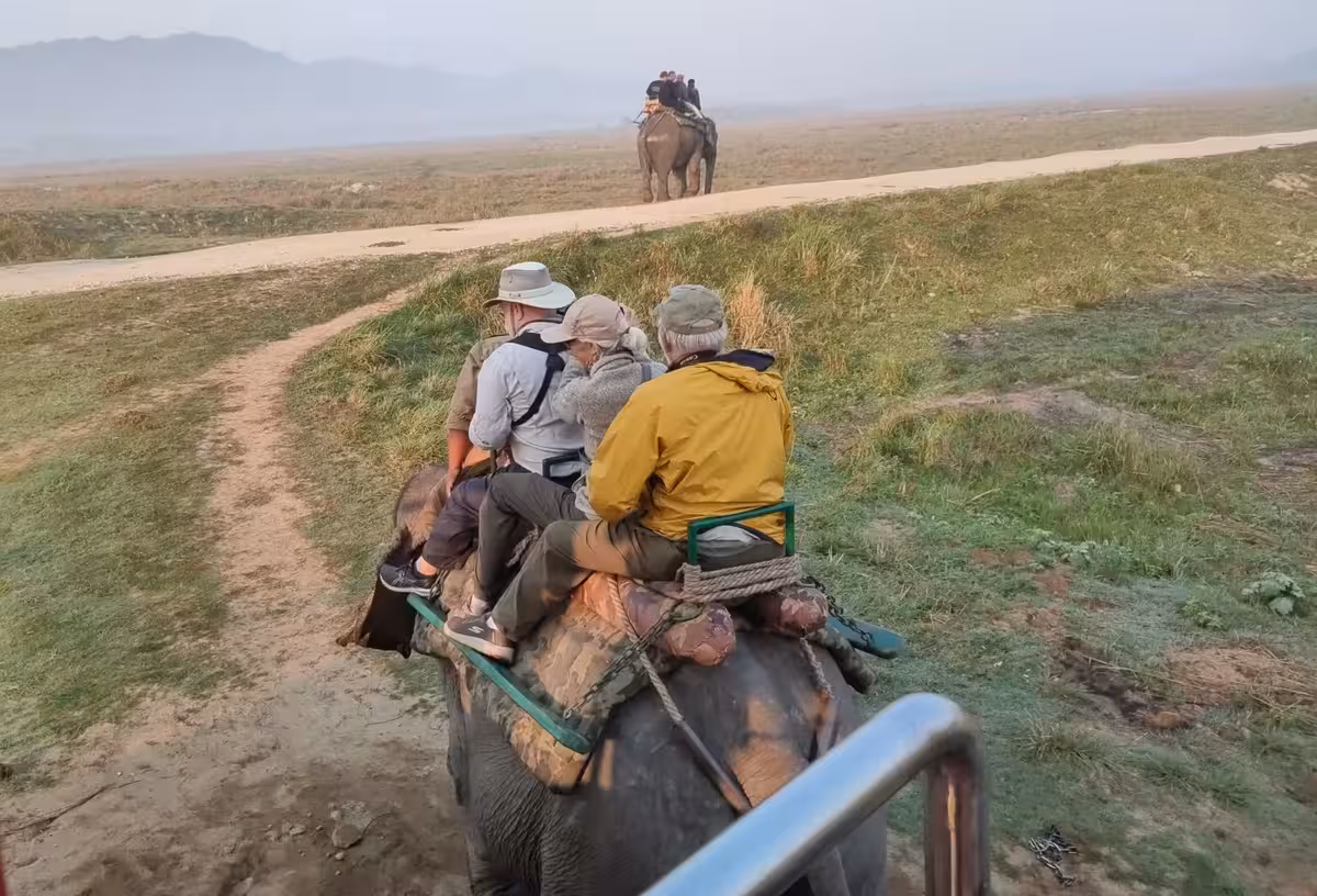 Elephant Safari