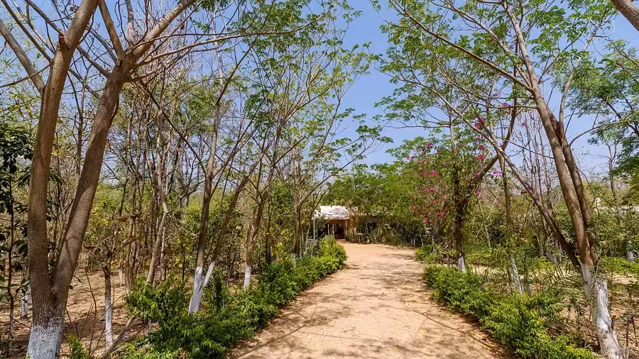 Riverwoods Pench Entrace