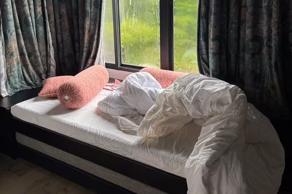 Tathastu Tadoba Sofa cum Bed